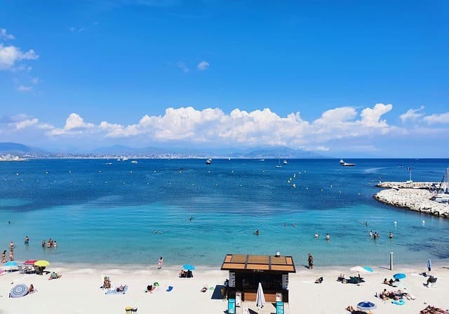 白い砂浜と海と海水浴客の画像