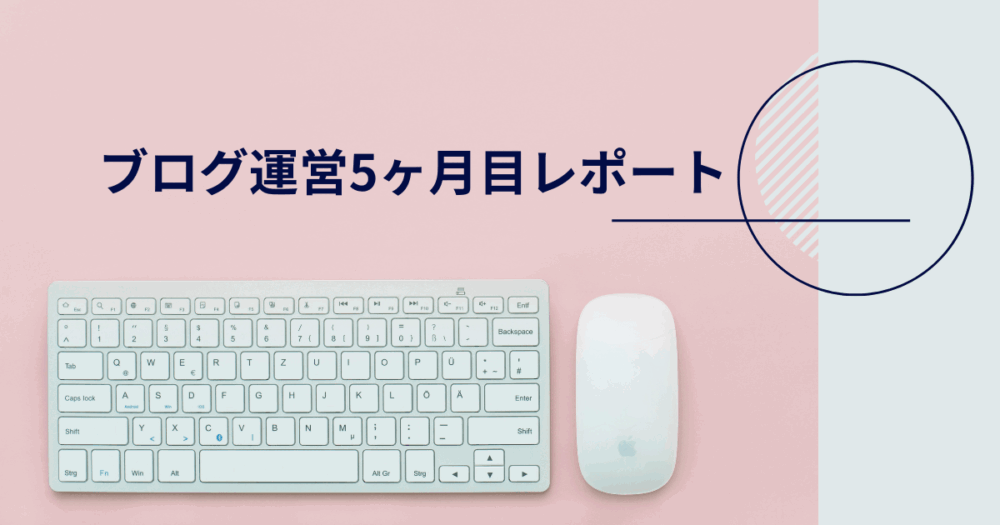 ブログ歴5ヶ月の運営記録