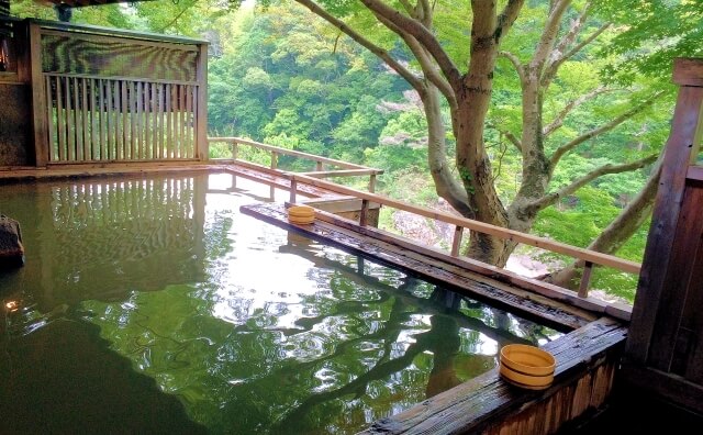 自然に囲まれた温泉の風景