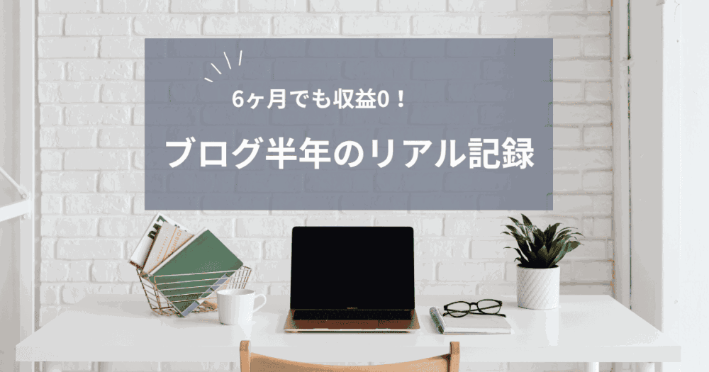 ブログ半年のリアル記録